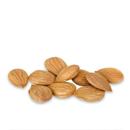 are apricot kernels safe for dogs